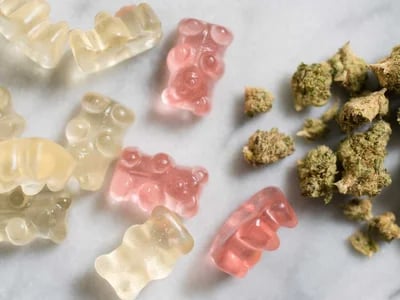 Fast and Reliable Magic Mushrooms Delivery – Get Your Favorite Strains and Products at Your Doorstep!