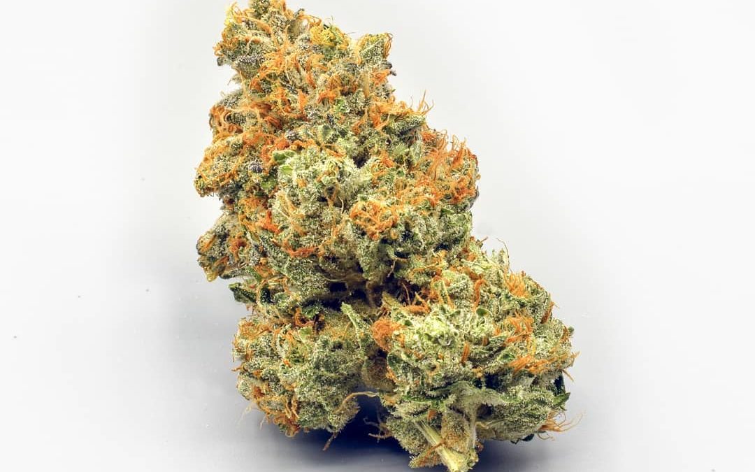 Unlock the Power of CBD OG Kush with Green Leaf Store EU's Top-Tier Assistance