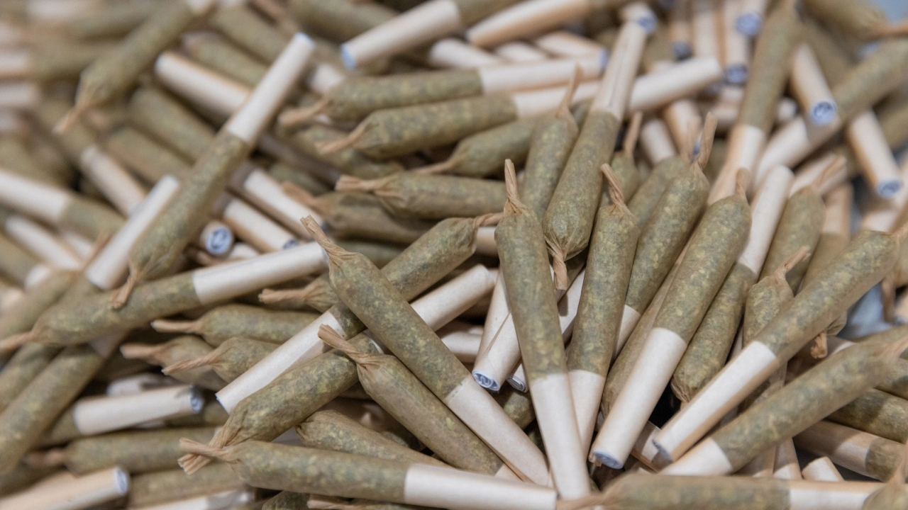 Cannabis Pre-Rolls Joints Online AU: Shop Conveniently and Safely at Ganja Space