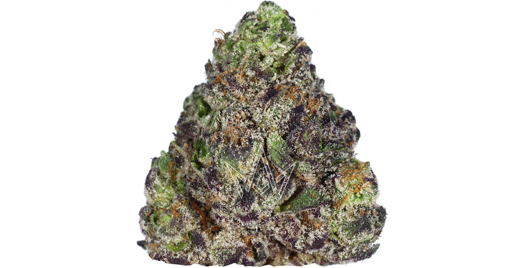 Experience Top-Tier Flavor and Power with Jealousy runtz strain Delivered to Your Door